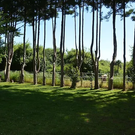 Vakantiehuis Large Near Ruffec